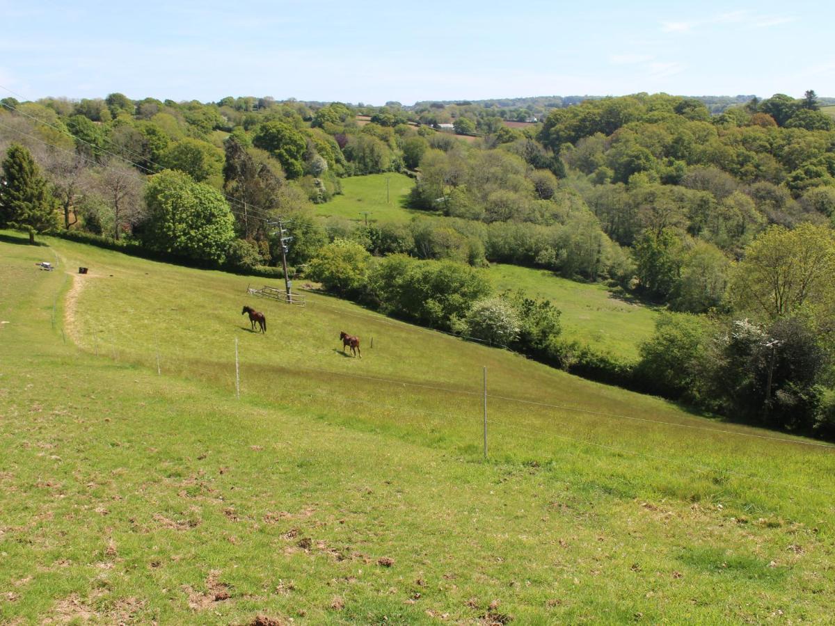 Hilly Field Barn Villa Yelverton Dış mekan fotoğraf